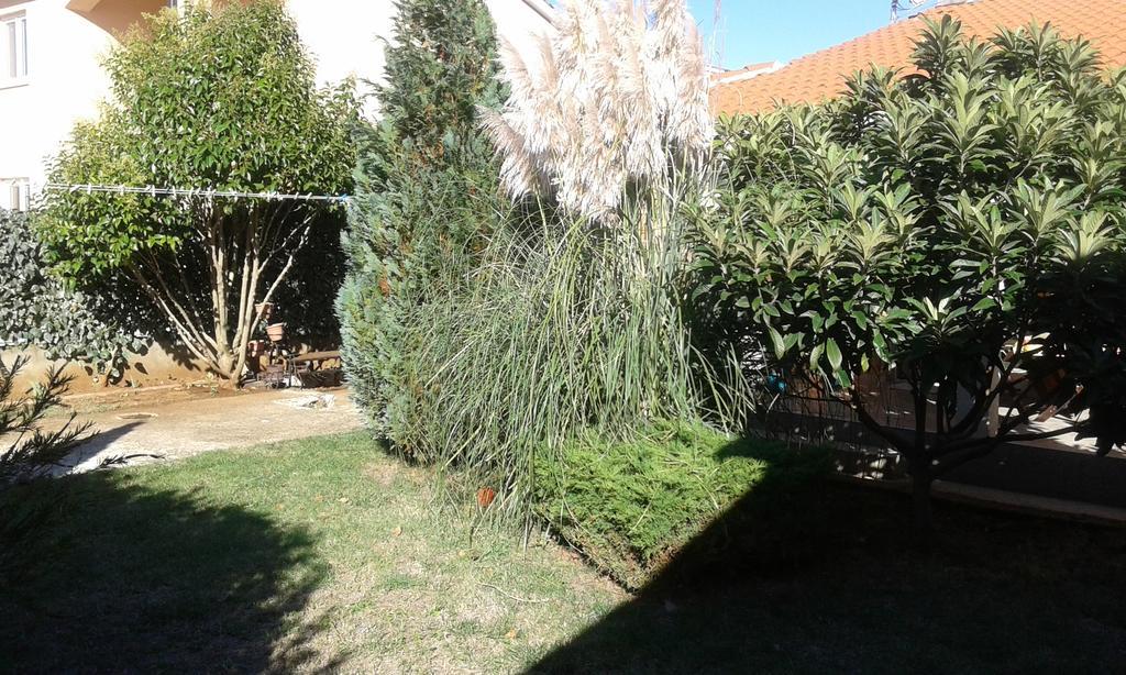 Apartmani Arijana Medulin Dış mekan fotoğraf