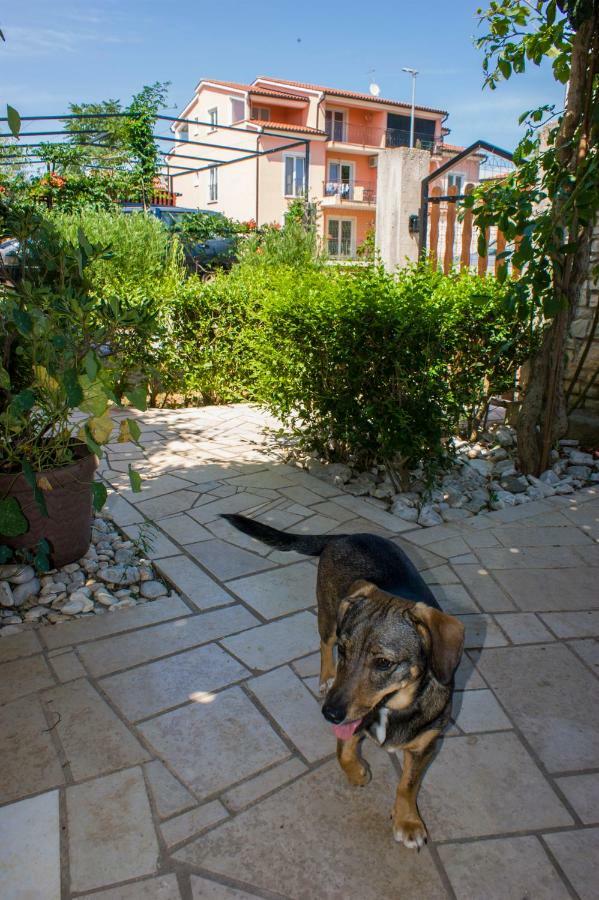 Apartmani Arijana Medulin Dış mekan fotoğraf